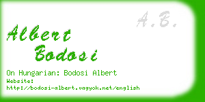 albert bodosi business card